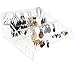 Earring Holder Organizer - Acrylic Earring Holder & Earring Display Stand | Earring Rack for Earring Storage by Nannas Display