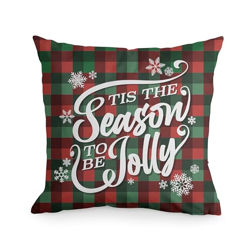 FrameStory Decorative Christmas Throw Pillows with Insert - Holid...
