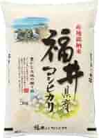 福井県産こしひかり10kg R6年産 4月下旬精米　5/5まで限定価格 福井県産こしひかり10kg R6年産 4月下旬精米 5/5まで限定価格