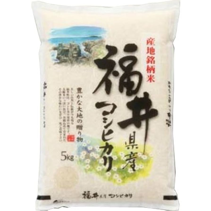 Amazon.co.jp: コシヒカリ 令和6年産 福井産コシヒカリ 5kg 福井