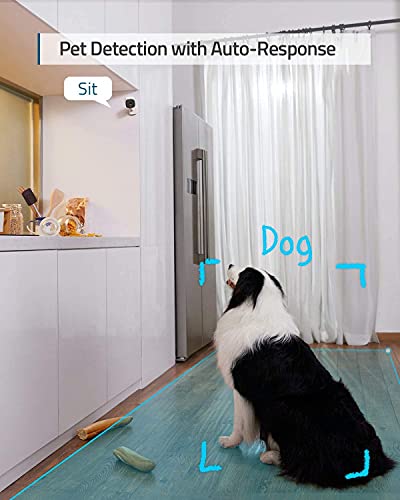 https://m.media-amazon.com/images/I/41oJF7-7SrS._SL500_.jpg