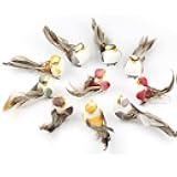LWINGFLYER 12pcs Artificial Foam Feather Birds Mini Decorative Love Bird Ornaments for Wreaths Craft Christmas Tree Decoration Flower Arrangements 10cm/4inch Clip