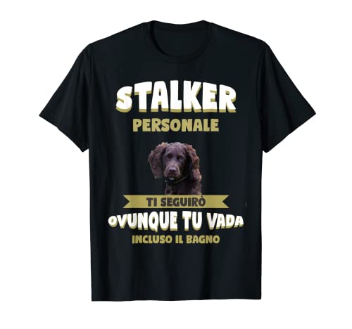 Un Spaniel tedesco divertente è l'idea migliore per qualsiasi proprietario Spaniel tedesco o amico Spaniel tedesco che vuole mostrare a tutti cosa significa essere un Spaniel tedesco con questa intelligente amante Spaniel tedesco o idea del Spaniel tedesco