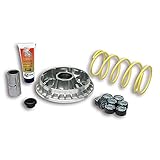  MALOSSI - 60892 : Variador Multivar Malossi SUZ. BURGMAN 400 99-06 5114258