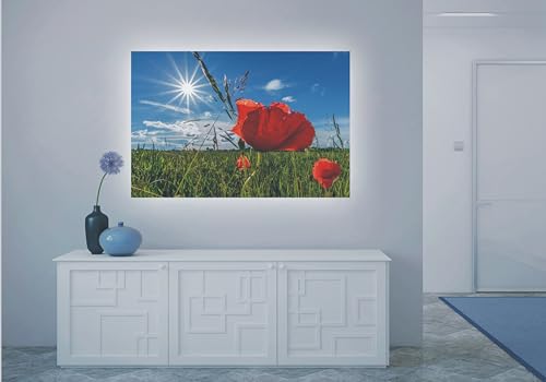 Tableau méthacrylate coquelicots avec LED pour décoration murale moderne - 6
