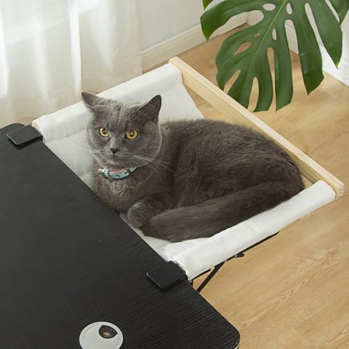 SHENGOCASE fXNLbgxbh}EgA܂肽ݎnbNp[` O\ȃpbhtAGhe[uTChLbgxbhA^b`g