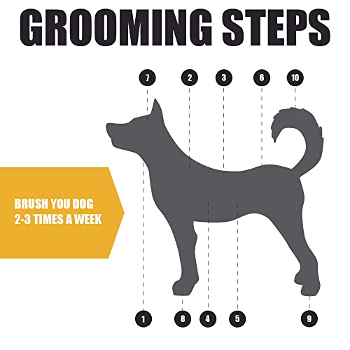 Bv Dog Brush And Cat Brush, Pet Grooming Comb, 2 Sided Bristle And Pin For Long And Short Hair Dog, Removing Shedding Hair #TOP5
