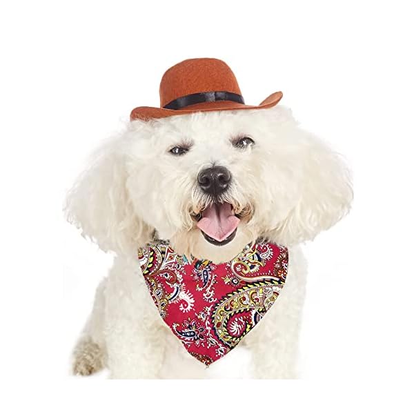 Pet cowboy hat bandana costume, funny dog cat costume accessories set for mexican birthday christmas and holiday party daily wearing - image 5