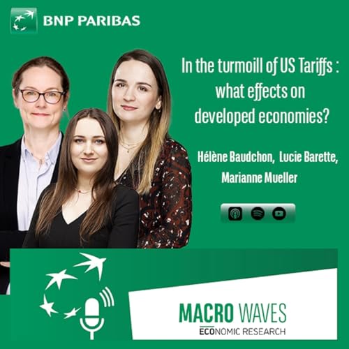 In the turmoil of US tariffs: what effects on developed economies?