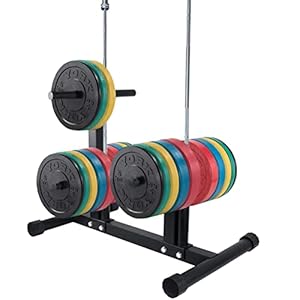 Weight Plate Barbell Rack Tree Olympic 2 Inch: Weight Plate Tree for Bumper Plates&Barbell | Free Weight Stand | Weight…