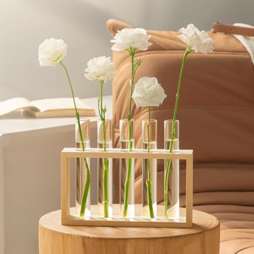 Enliansgo Desktop Plant Propagation Stations, Clear Cylinder Glass Foldable Vase Test Tube with Wooden Stand,Propagation Station,Gifts for Plant Lovers,5 Vases