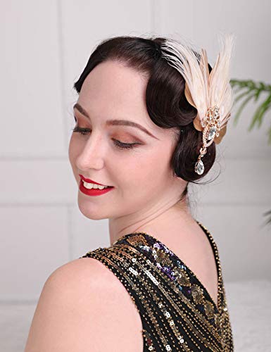 Aimimier 1920S Great Gatsby Headpiece Flapper Feather Hair Clip Crystal Teardrop Roaring 20S Accessories Prom Party Festival Gatsby Hair Jewelry For Women And Girls #TOP2
