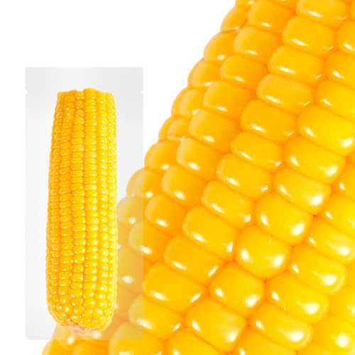 Ƃ낱 4{Zbg ``H RȊÂƒe ^pbN ۑ ۑH H ʂN₩ ʕ