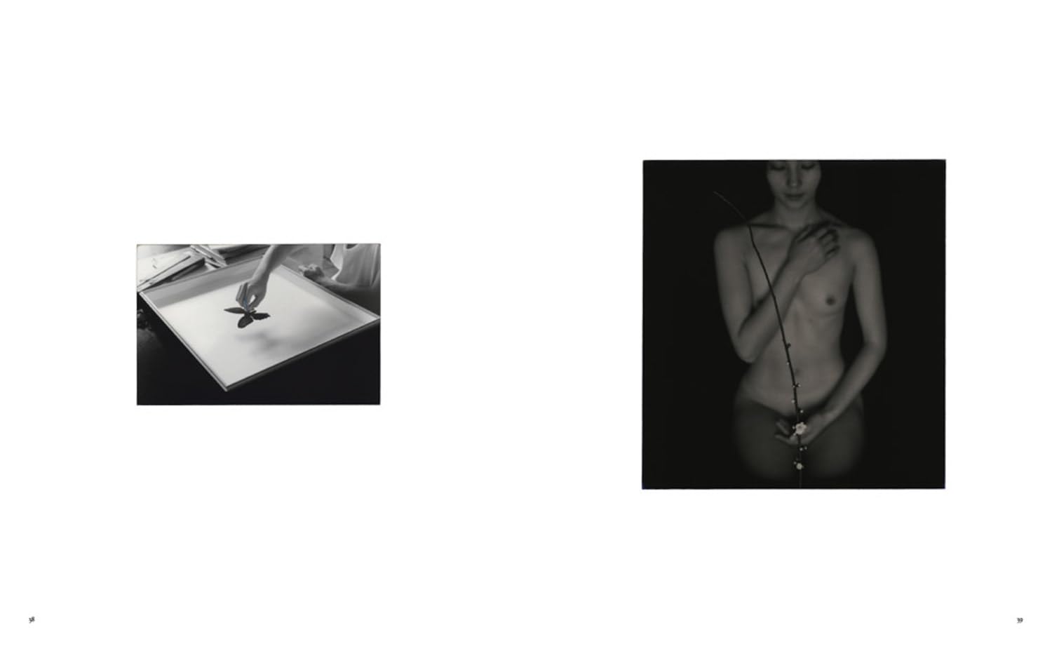 Masao Yamamoto: Small Things in Silence: Third Edition
