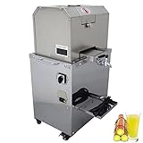 TECHTONGDA Electric Sugar Cane Juicer Press Machine, 4 Roller Sugarcane Juicer, Ginger Sweet Sorghum Extractor Press with Openable Entrance for Commercial Juicing Sugar Cane Kumquat Citrus Ginger 110V