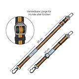 Kurgo Gurtschloss-Hundegurt fürs Auto, Kompatibel mit Tru-Fit Hundegeschirr, Von 38 cm auf 56 cm verlängerbar, Orange