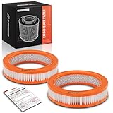 A-Premium Engine Air Filter Replacement for Ford Mustang 1964-1967 Ranchero 1966-1967 American