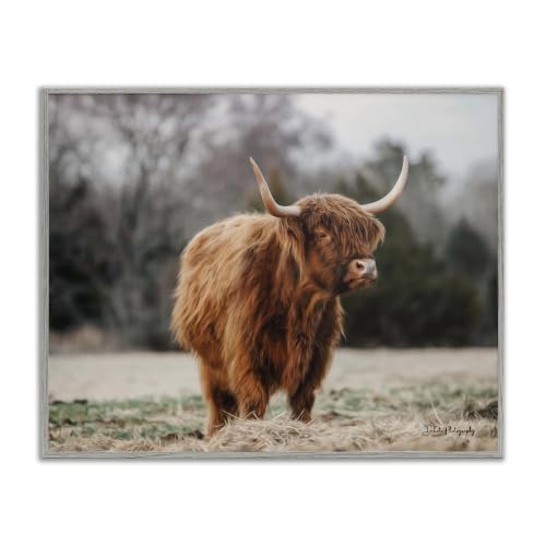 Serene Highland Cattle Pasture, 24 x 30 Inch Framed Giclée Print