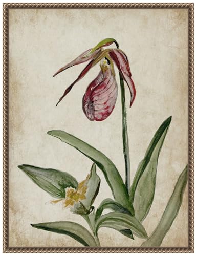 Amanti Art Framed Canvas Wall Art 24x18 Elegance Unveiled II
