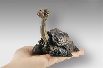 Animal Heavenly Body Studio Chelonoidis Galapagoensis Model Galapagos Giant Tortoise Figure Resin Animal Collector Home Decoration Gift for Adult