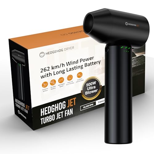 Hedgehog Car Dryer and Air Blower - 500W Handheld Cordless Turbo Dryer Blower for car- 162 MPH Wind Dring Power, 4-Speed Controls, 80,000 RPM, USB-C Fast Charging, Portable Leaf Blower & Snow Remover