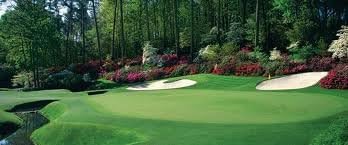 Princess 77 Hybrid Bermuda Grass Seeds 2 Lbs (Bulk)