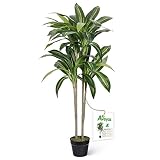 Aveyas 4ft Artificial Dracaena Tree in Cemented Pot, Real Touch Fake Tropical Plants Bonsai Faux Sil