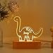 Personalized Handmade Warm Night Light Lovely Acrylic Nursery Night Lamp for Kids Gift, Customize Name, USB Port, Girl's Room, Boy's Room, Kid's Bedroom Décor (Dinosaur)
