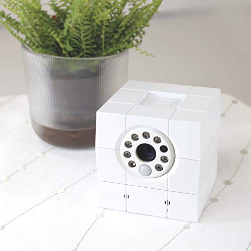 Amaryllo Fairy Biometric PTZ Wi-Fi Baby Monitor with Face Recognition, Support Human, Vehicle, and Pet Detection, 360° Degrees Viewing Angle, 720p HD, White