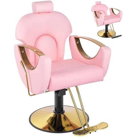 Dangvivi Pink Salon Chair for Hair Stylist,Barber Chair for Home Barbershop, Reclining Hair Salon Chair, Hydraulic Pump,360°Rotation,135°Recline,Beauty Salon Hairstylist Gift for Women Cover