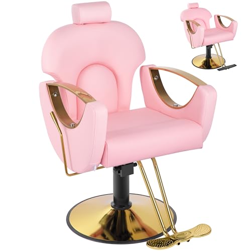 Dangvivi Pink Salon Chair for Hair Stylist Barber Chair for Home Barbershop Reclining Hair Salon Chair Hydraulic Pump 360Rotation 135Recline Beauty Salon Hairstylist Gift for Women