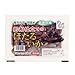 〈冷凍釣りエサ〉浜市［HAMAICHI］釣船仕立てのホタルイカ400g入×2個セット