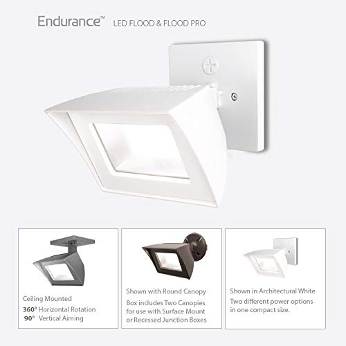 Wac Lighting, Endurance Flood Pro Energy Star 54W Led Flood Light 3500K In Black #TOP2