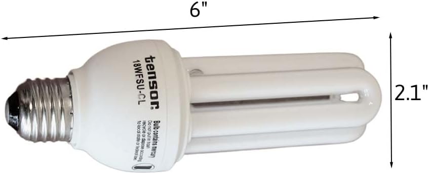 HomeConcept CFL bulb with dimensions: 6 inches length, 2.1 inches diameter