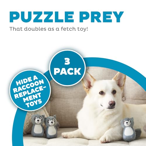 Image of Outward Hound Squeakin' Raccoon Hide A Puzzle Plush Replacement Dog Toys - 3 Pack