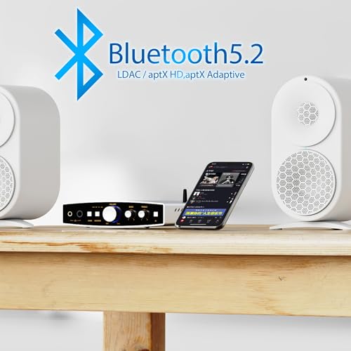 SHANLING EH2 シャンリン コンパクトデスクトップDAC/AMP ヘッドフォンアンプ プリアンプ 自社開発R2R DAC採用 6.35mmシングルエンド 4.4mmバランス 最大4350mW@32ΩLDAC、aptX HDに対応 RCA出力 Bluetooth受信 DC電源入力 UAC1.0対応 switch ゲームモード USB-DACモード ハイレゾ【国内正規品】 (ブラック)