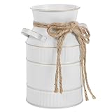 Vase en forme de pichet à eau – grâce à sa taille compacte, ce vase en fer est idéal pour les petits espaces et vous permet de mettre en valeur vos plantes ou fleurs préférées. vase en métal