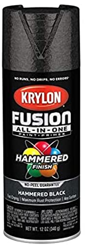 Krylon Fusion All-in-One Hammered Black Paint + Primer Spray Paint 12 oz. -  K02782007