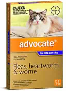 cat worming tablets coles