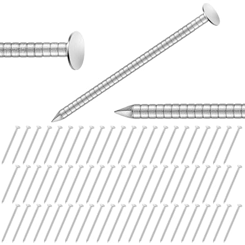 Tandefio 2 Pounds 1-3/4 Inch Roofing Nails 304 Stainless Steel Siding Nails for Roofing Felt, Flat Head Hardware for Shingles, Cedar Wood, Decking, Wall