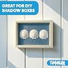 Tumbler Home Real Sand Dollars for Crafts (5 Pack), Large 4 inch Sand Dollars, Giant Shells for Crafts, Christmas Ornaments, Wedding Decorations, Nautical and Beach Decor