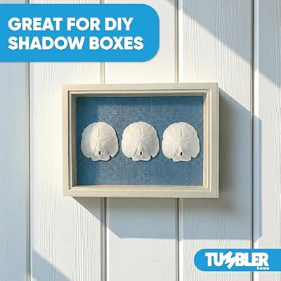Tumbler Home Real Sand Dollars for Crafts (5 Pack), Large 4 inch Sand Dollars, Giant Shells for Crafts, Christmas Ornaments, Wedding Decorations, Nautical and Beach Decor