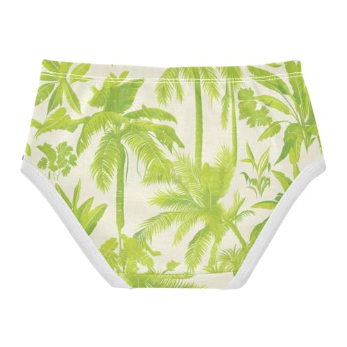 GuoChe Cotton Briefs Breathable Panties Comfort Underwear for Kid in Sizes 2T,3T, 4T, 5T, 6Y and 8Y2