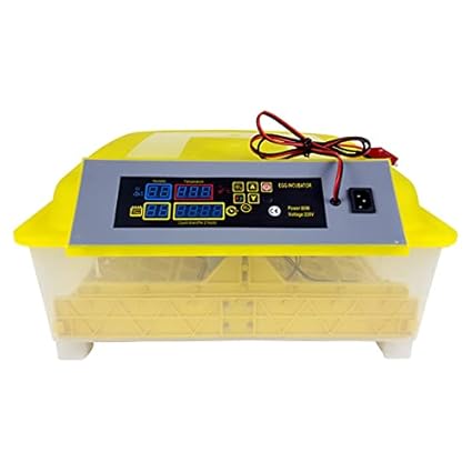 Mini Incubator .Motor 220V/12V 50/60Hz Turn The Eggs Motor 48 Egg Incubator Hand-Made Incubator? with 12V & 220V Duel Power