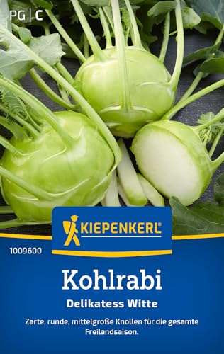Kohlrabi Delikatess Witte Saatgut