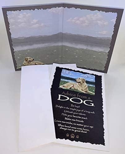 Miniatura 2 de Juego de 4 tarjetas de felicitación de granja, fabricadas en los Estados Unidos, tarjetas ecológicas en blanco impresas en cartulina replantada,