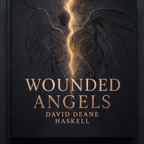 Wounded Angels cover art