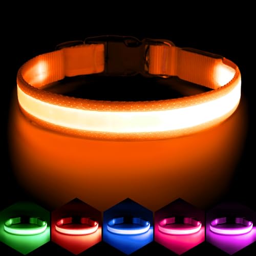 Vizpet LED Dog Collar, Light Up Dog Collar...