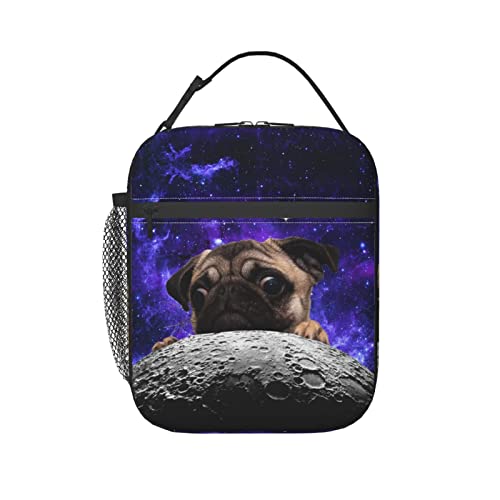 Kuoaicy Pug Moon Space Lunch Box Reusable Insulated Totes Lunch Bag Thermal Cooler For Boy Girls School Men Women Beach Picnic Travel #TOP7