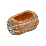 Napco Rustic 4-Inch Concrete Pumpkin Planter Durable Indoor/Outdoor Fall & Halloween Decor - Autumn Themed Pot for Succulents, Herbs & Small Plants